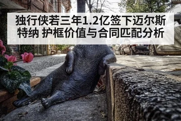 独行侠若三年1.2亿签下迈尔斯特纳 护框价值与合同匹配分析