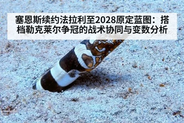 塞恩斯续约法拉利至2028原定蓝图:搭档勒克莱尔争冠的战术协同与变数分析